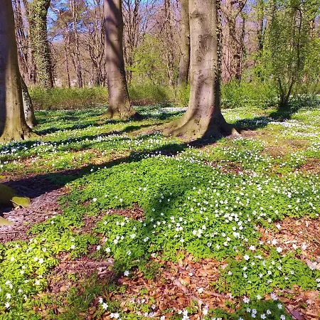 Al-dom Gold * Kolberg