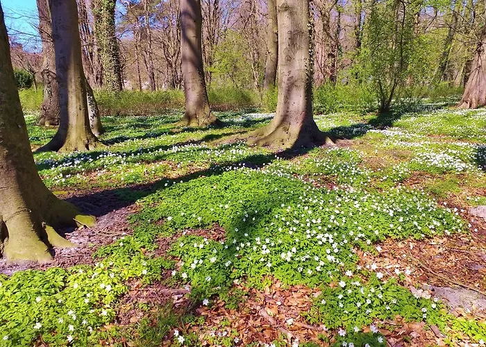 Al-dom Gold * Kolberg